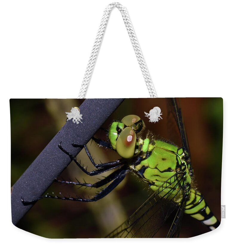 Photograph Weekender Tote Bag featuring the photograph Dragonfly #8 by Larah McElroy