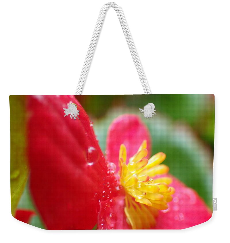 Flower Weekender Tote Bag featuring the photograph Flower #8 by Kumiko Izumi