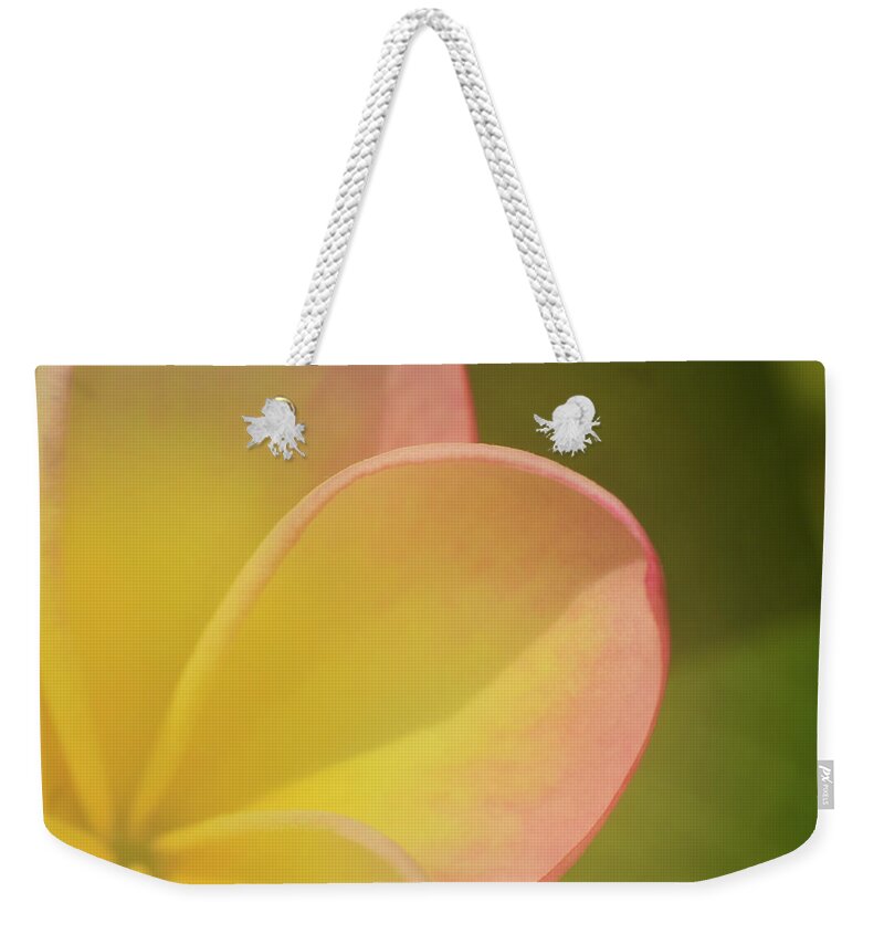 Photograph Weekender Tote Bag featuring the photograph Plumaria #8 by Larah McElroy
