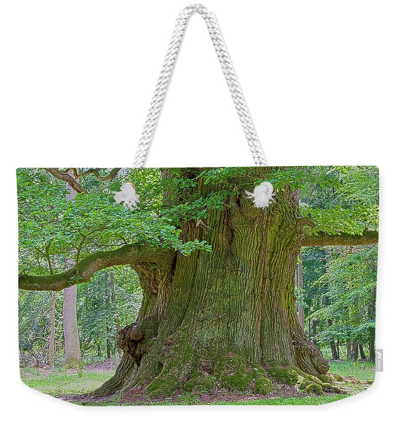 Oak Weekender Tote Bag featuring the photograph 800 Years Old Oak Tree by Heiko Koehrer-Wagner