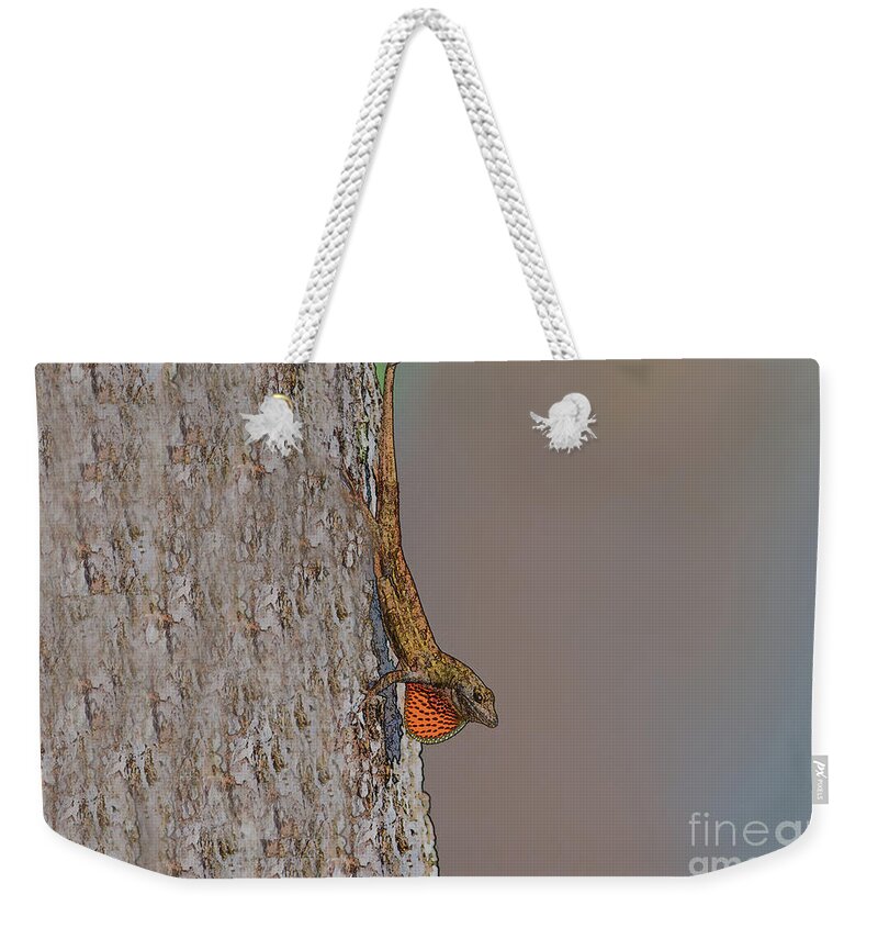 Brown Anole Weekender Tote Bag featuring the photograph 80- Brown Anole by Joseph Keane
