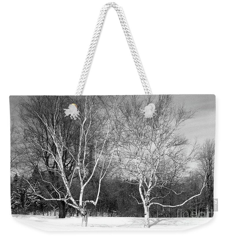  Weekender Tote Bag featuring the photograph 8443 by Burney Lieberman