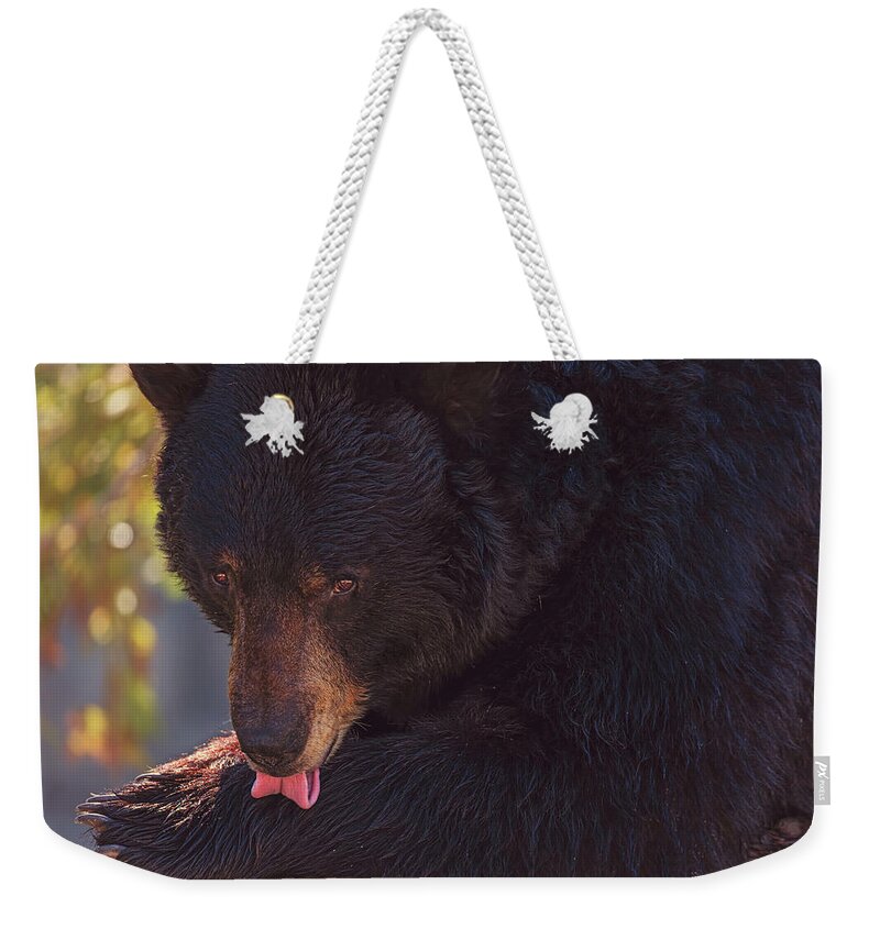 Animal Weekender Tote Bag featuring the photograph Black Bear #9 by Brian Cross