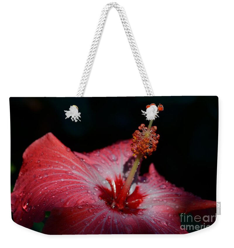  Weekender Tote Bag featuring the photograph 9- Hibiscus by Joseph Keane