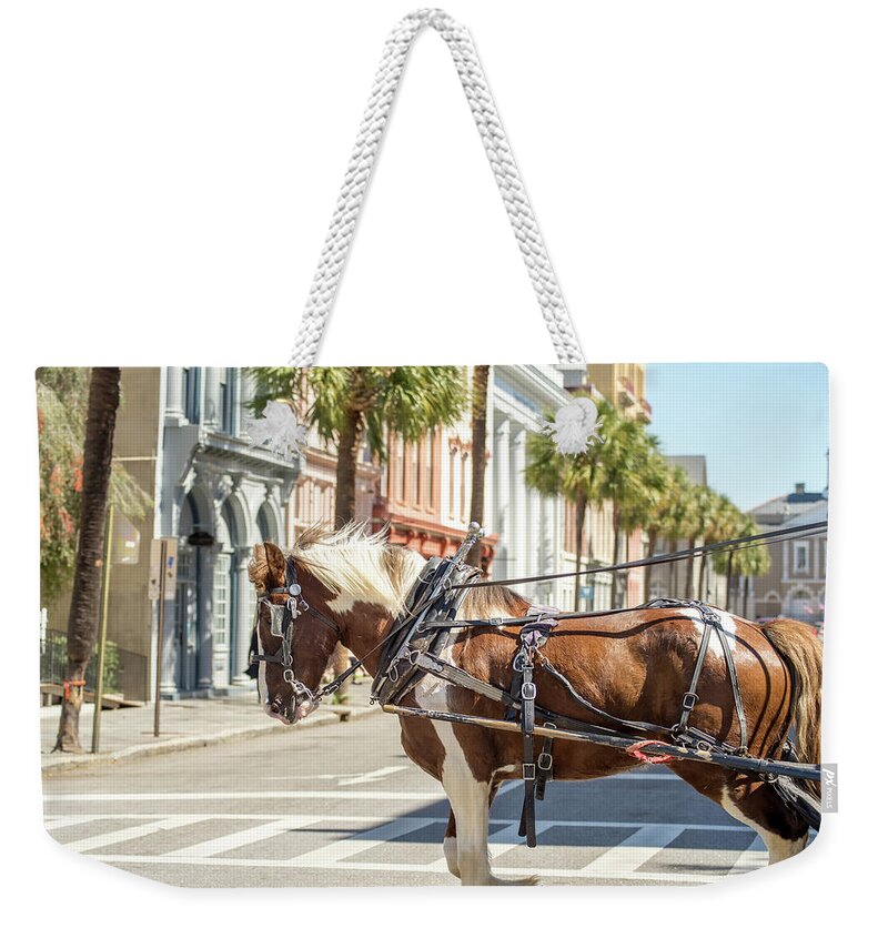 South Weekender Tote Bag featuring the photograph Historic Charleston South Carolina Downtown Scenery #9 by Alex Grichenko