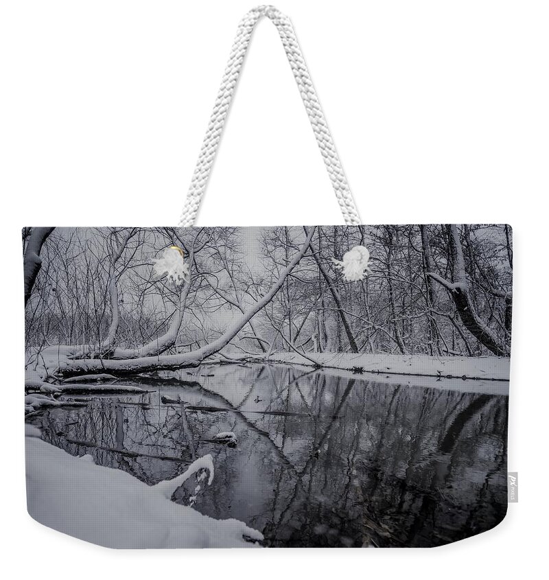 Tree Weekender Tote Bag featuring the photograph Snow Covered Landscapes In Belmont North Carolina Along Catawba #9 by Alex Grichenko