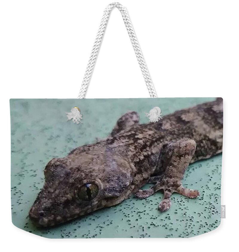 Gecko Weekender Tote Bags