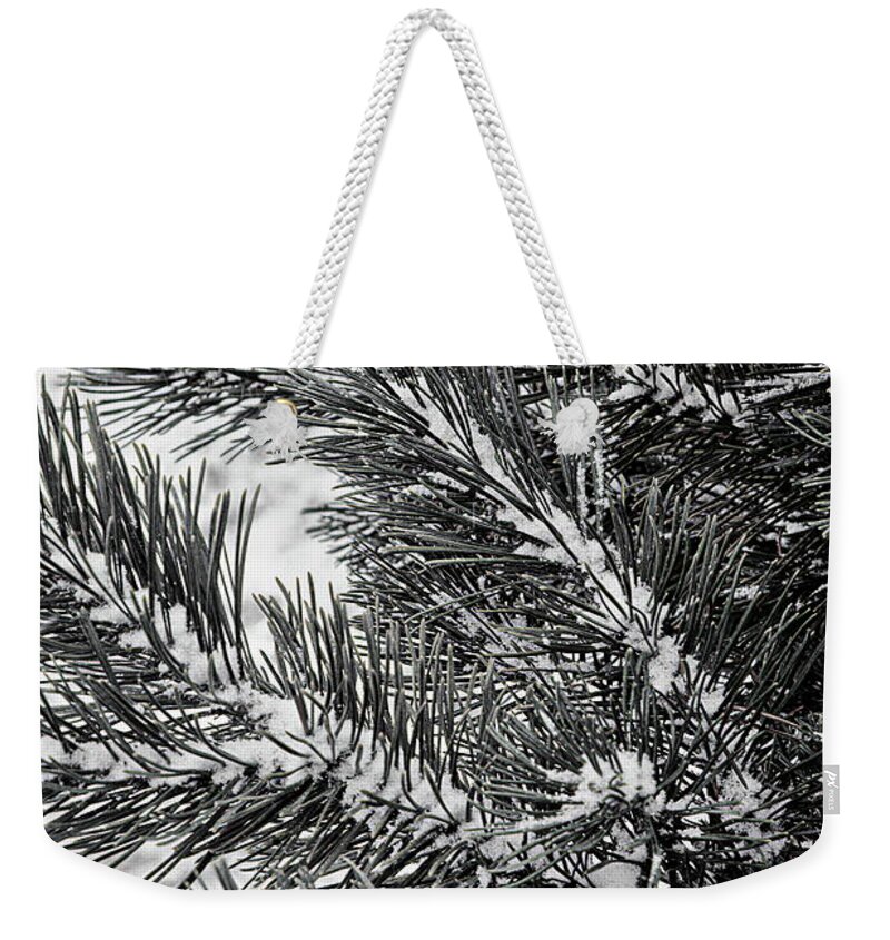  Weekender Tote Bag featuring the photograph 9728a by Burney Lieberman