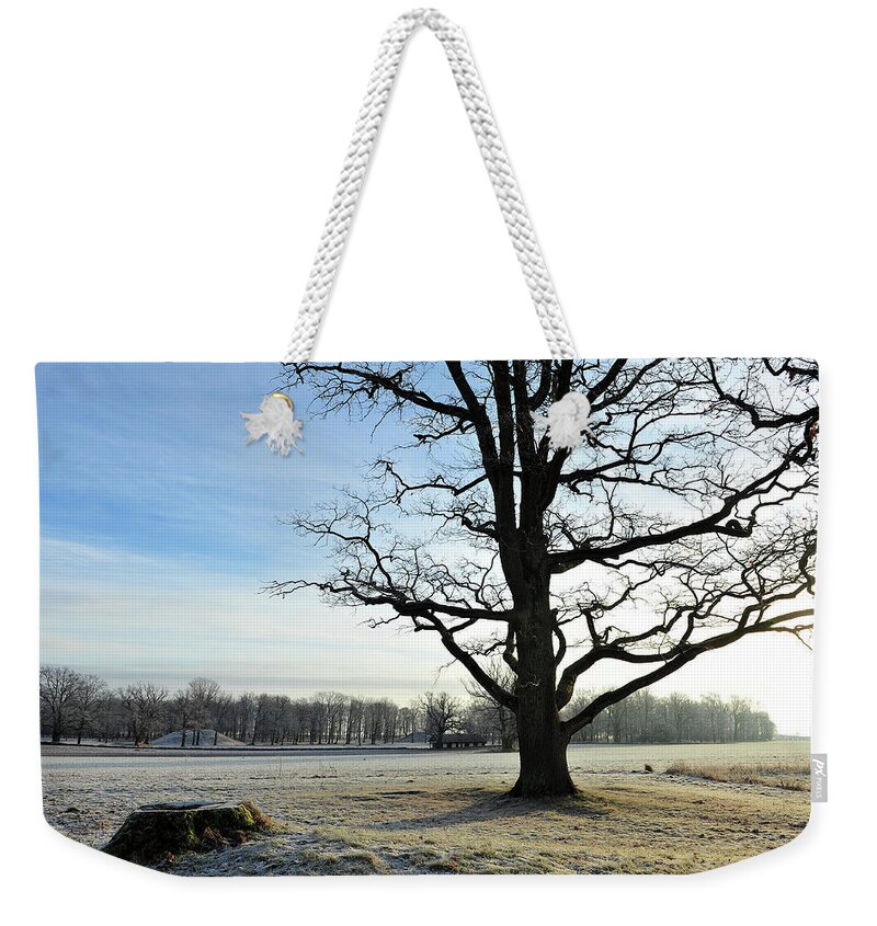 Norway Weekender Tote Bag featuring the photograph A Beautiful Day in Viking Land by Randi Grace Nilsberg