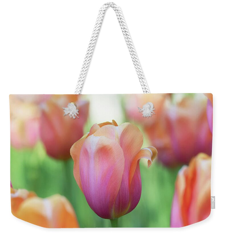Beautiful Weekender Tote Bag featuring the photograph A bed of tulips is a feast for the eyes. by Usha Peddamatham