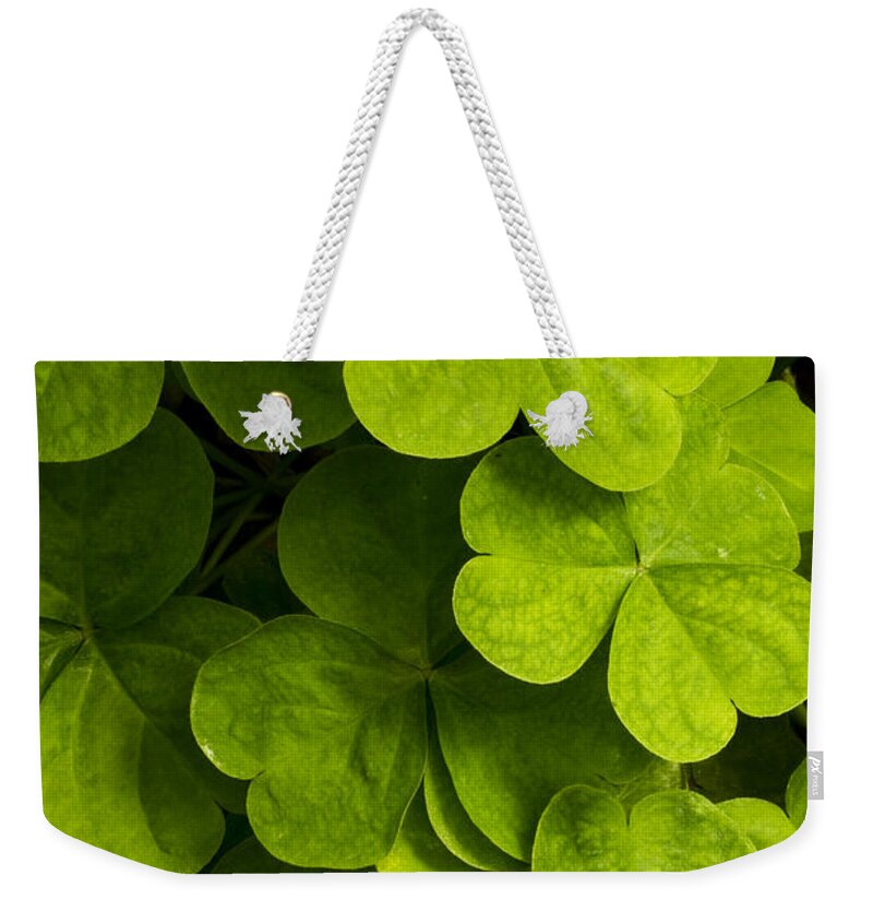 Clover Weekender Tote Bag featuring the photograph A bit of green by Carrie Cranwill