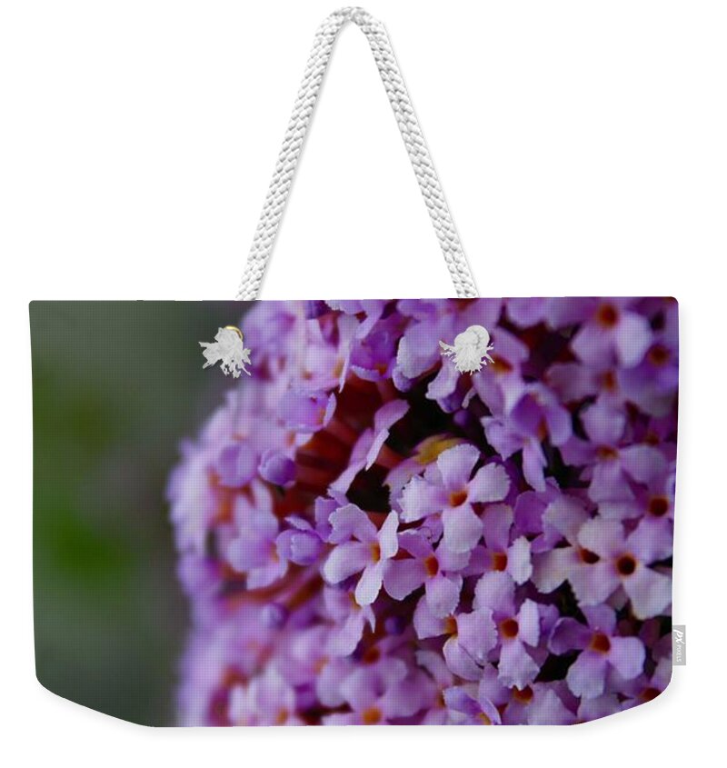 Photograph Weekender Tote Bag featuring the photograph A Blooming Pink Delight Butterfly Bush by M E