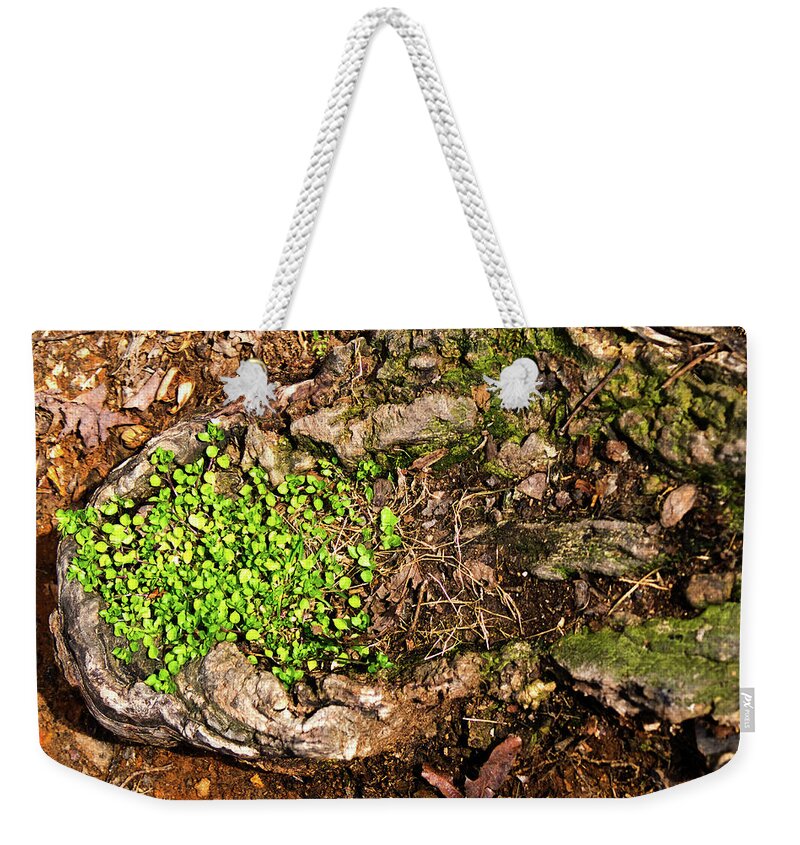 Stump Weekender Tote Bag featuring the photograph A Bowl of Greens by George Taylor