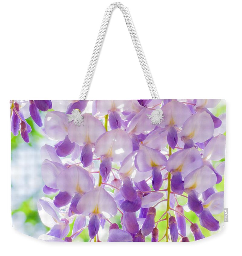 Blossom Weekender Tote Bag featuring the photograph A Bright Sunshiny Day by Steve Taylor