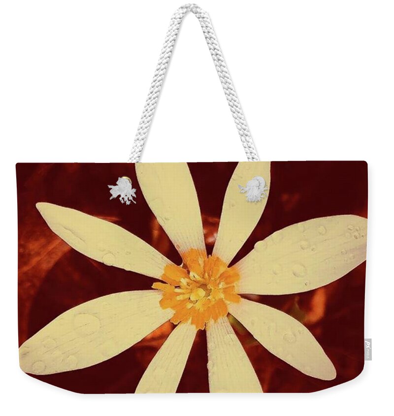 Springflowers Weekender Tote Bag featuring the photograph A Burst Of Spring.#springflowers by Paul Kercher