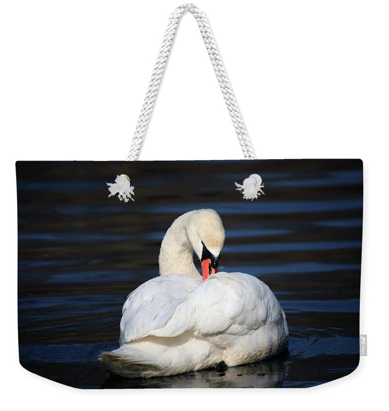 Swan Weekender Tote Bag featuring the photograph A Busy Swan by Karol Livote