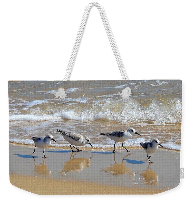 Sandpiper Weekender Tote Bag featuring the photograph A Cute Quartet of Sandpipers by Carla Parris