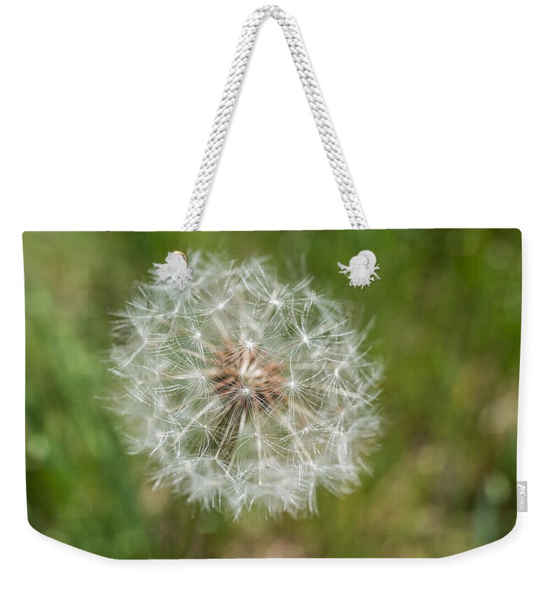Terry D Photography Weekender Tote Bag featuring the photograph A Dandelion by Terry DeLuco
