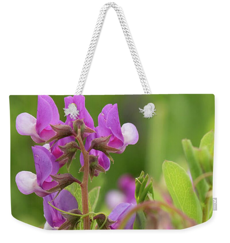 Beach Peas Weekender Tote Bag featuring the photograph A Day at the Beach by Holly Ross