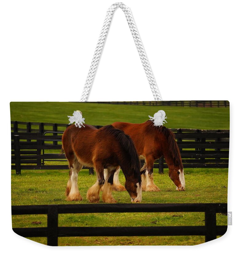 Horses Weekender Tote Bag featuring the photograph A Day at the Park by Beth Collins