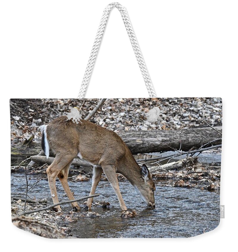 Whitetail Weekender Tote Bag featuring the photograph A Drink From a Cool Stream by Michael Peychich