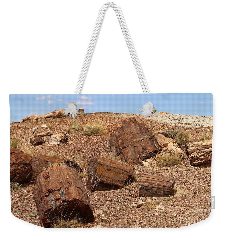 Log Weekender Tote Bag featuring the photograph A Fallen Forest by Christiane Schulze Art And Photography