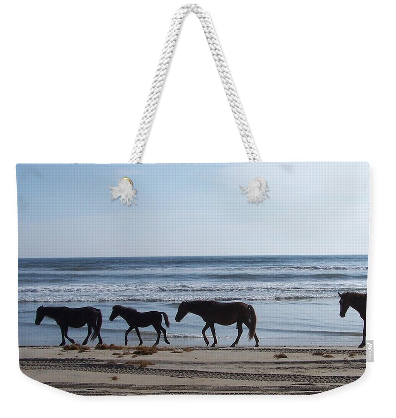 Wild Spanish Mustangs Weekender Tote Bag featuring the photograph A Family Gathering by Kim Galluzzo