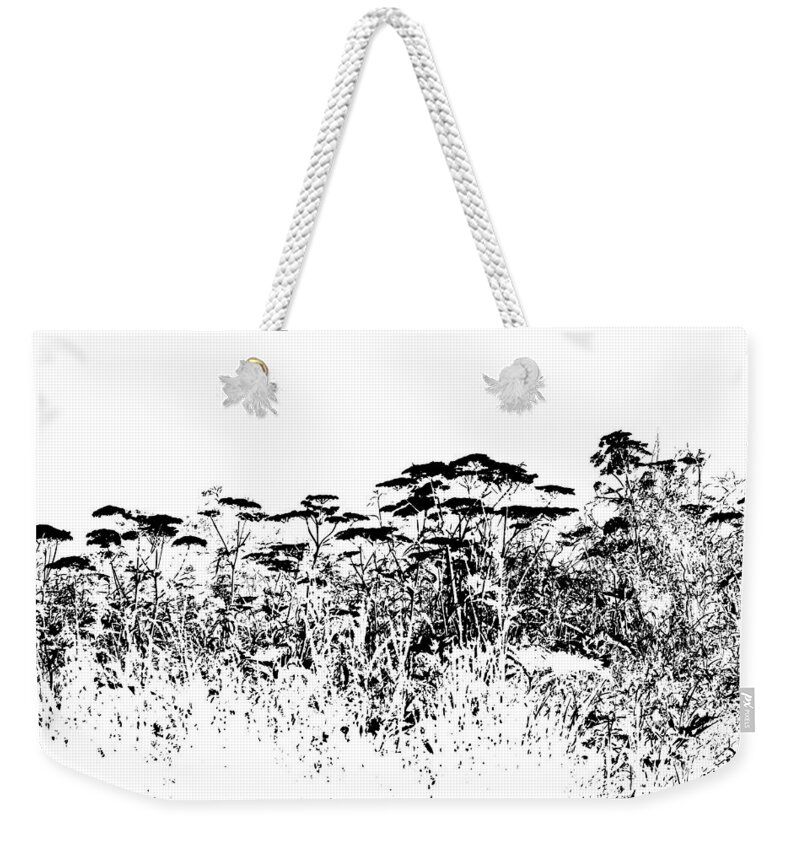 Cow Parsnip Weekender Tote Bag featuring the photograph A Field Of Wild Cow Parsnip by Sandra Foster