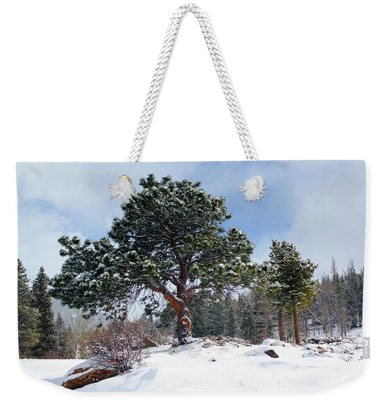 Snow Weekender Tote Bag featuring the photograph A Fresh Blanket Of Snow by Shane Bechler