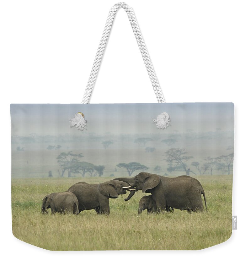 Africa Weekender Tote Bag featuring the photograph A Friendly Little Get-Together by Michele Burgess