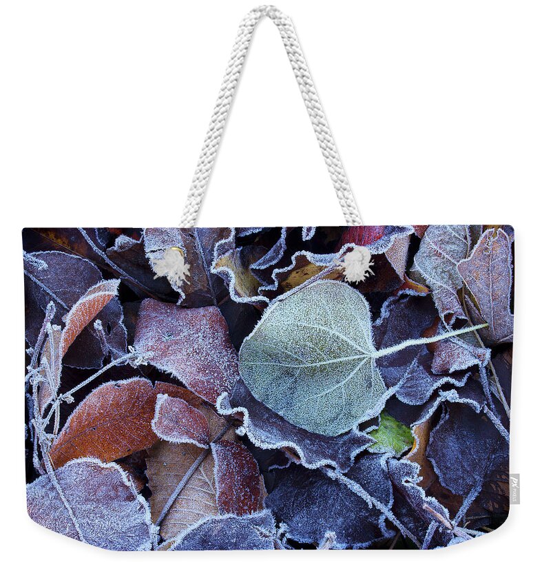 Leaves Weekender Tote Bag featuring the photograph A Frosty November Morning by Mike Eingle