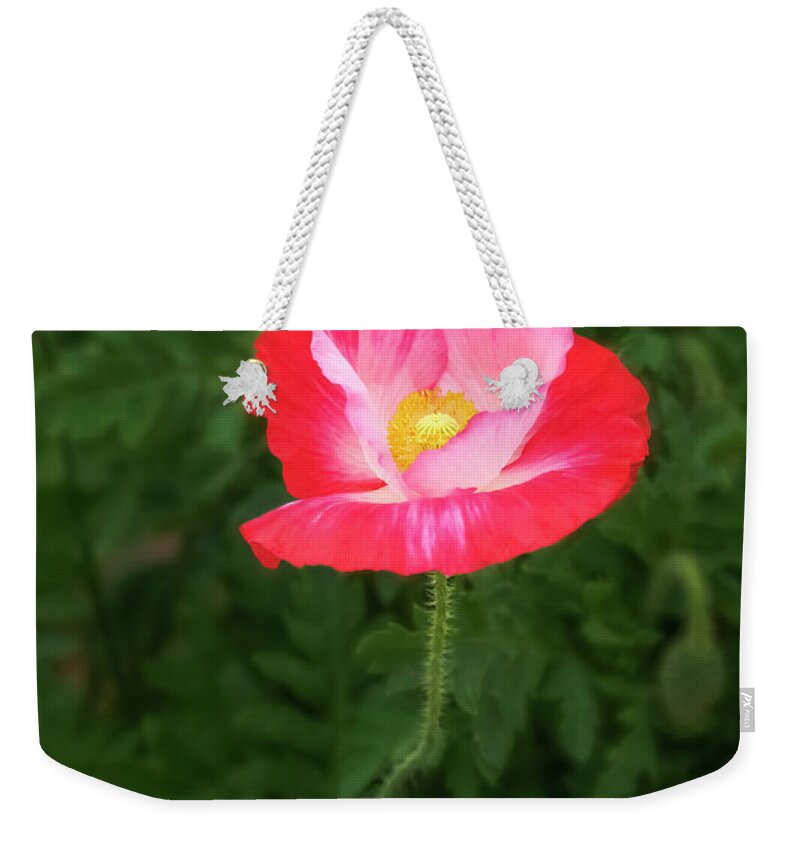 Poppy Weekender Tote Bag featuring the photograph A goblet of offering. by Usha Peddamatham