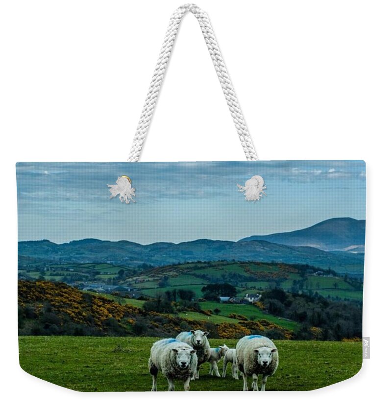  Weekender Tote Bag featuring the photograph A Good Day by Aleck Cartwright