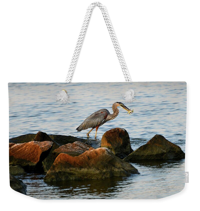 Ardea Herodias Weekender Tote Bag featuring the photograph A Great Blue Heron Day by Patrick Wolf