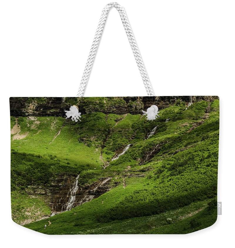 Green Weekender Tote Bag featuring the photograph A Green Fantasy by Yeates Photography
