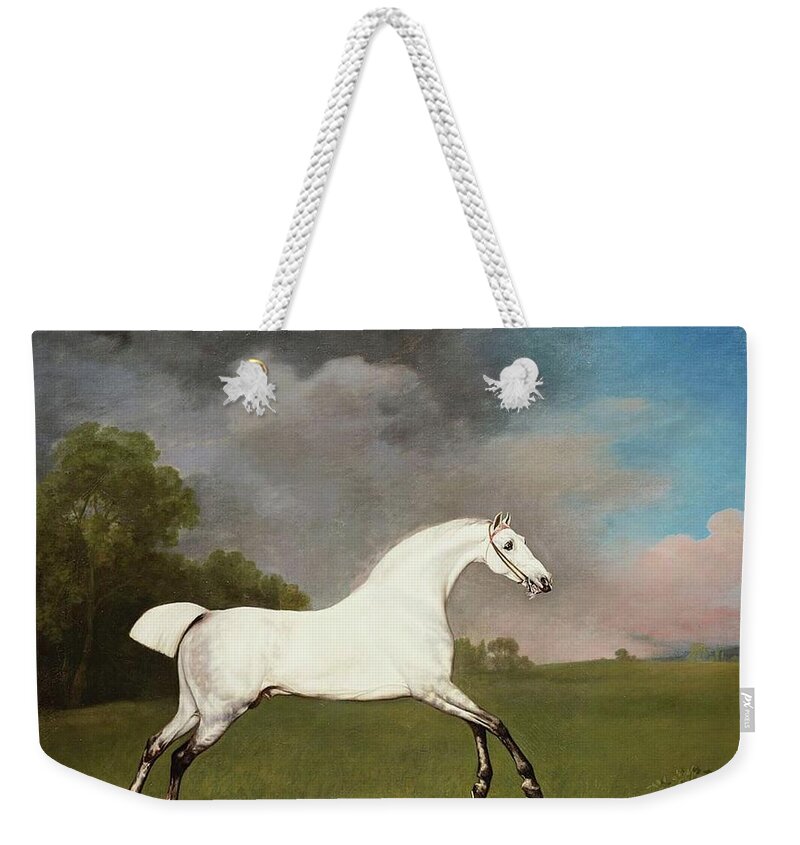 George Stubbs (1724-1806) A Grey Horse Signed And Dated 1793 Weekender Tote Bag featuring the painting A Grey Horse by George Stubbs