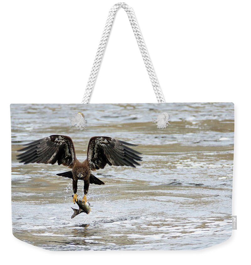 Bald Eagle Weekender Tote Bag featuring the photograph A Heavy Meal by Brook Burling