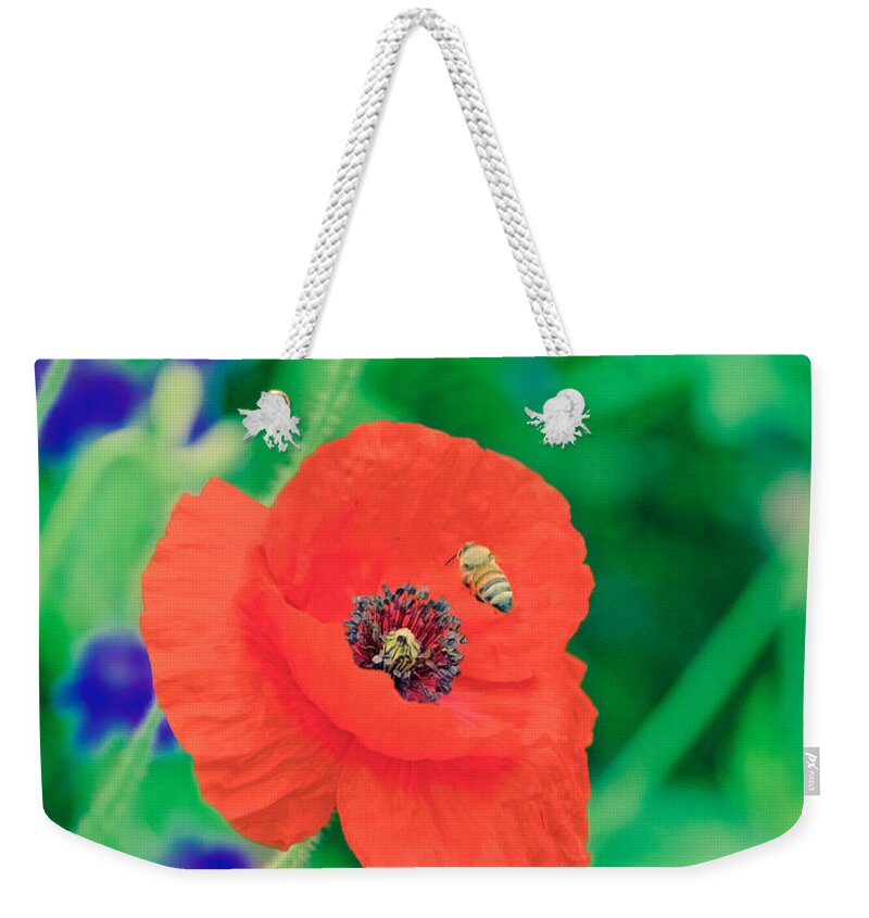 Poppy Weekender Tote Bag featuring the photograph A Honeybee and a Poppy by Rachel Morrison