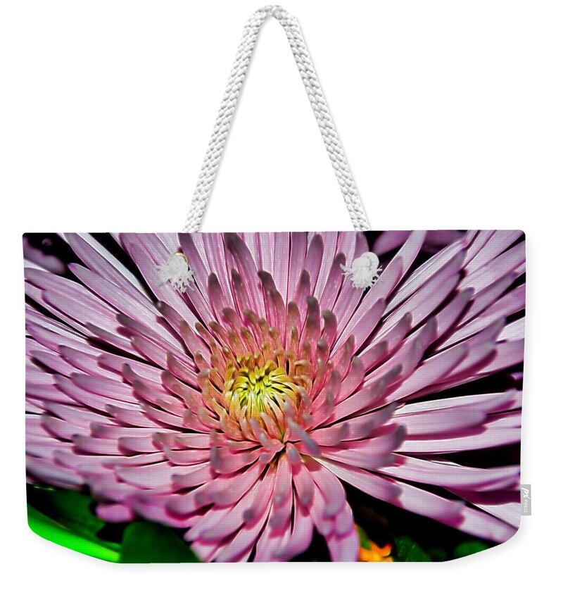 Diana Mary Sharpton Photography Weekender Tote Bag featuring the photograph A Jewel by Diana Mary Sharpton