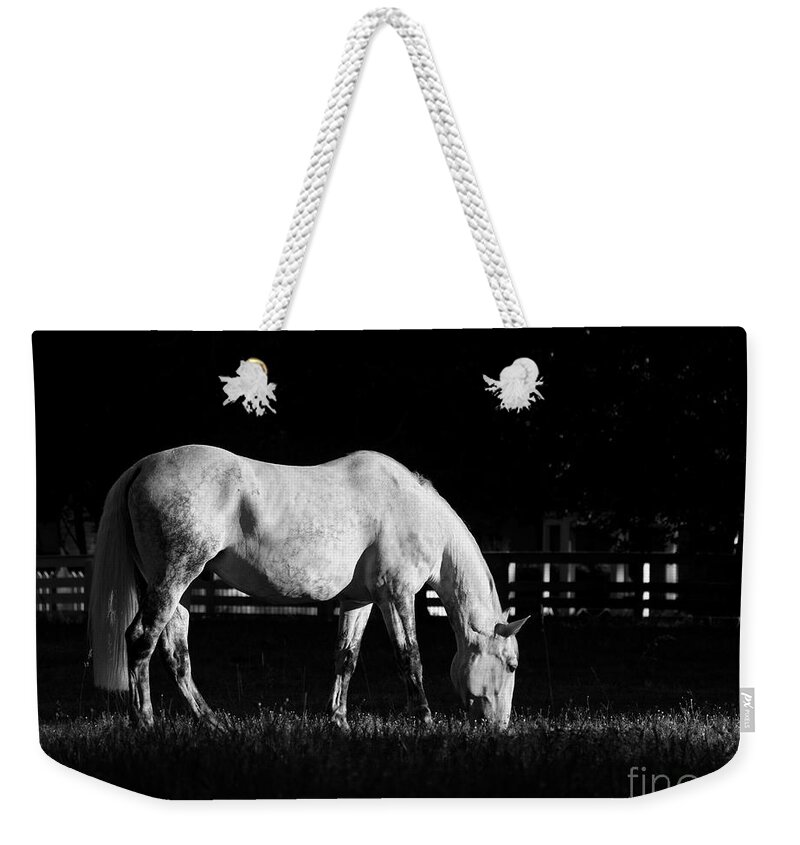 Horse Weekender Tote Bag featuring the photograph A June Light by Rachel Morrison