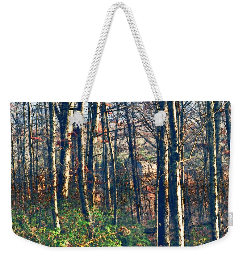 Nature Weekender Tote Bag featuring the photograph A late Autumn Walk in the Woods by Stacie Siemsen