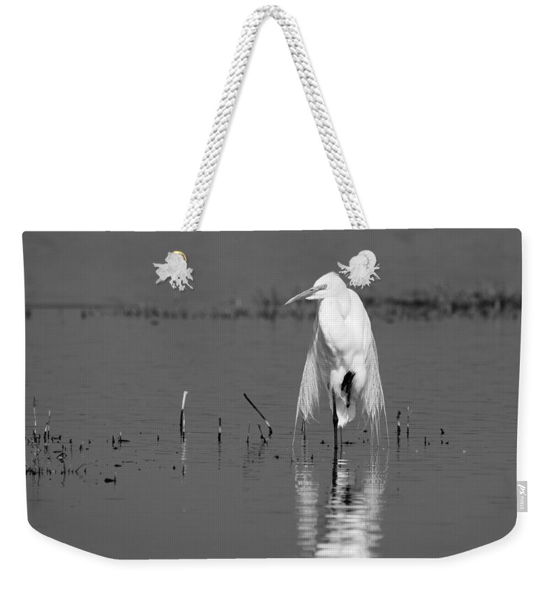 Elegance Weekender Tote Bag featuring the photograph Elegance -- Great Egret in Merced National Wildlife Refuge, California by Darin Volpe