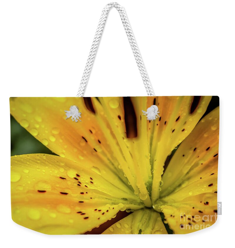 Summer Floral Weekender Tote Bag featuring the photograph A lily's heart by Claudia M Photography