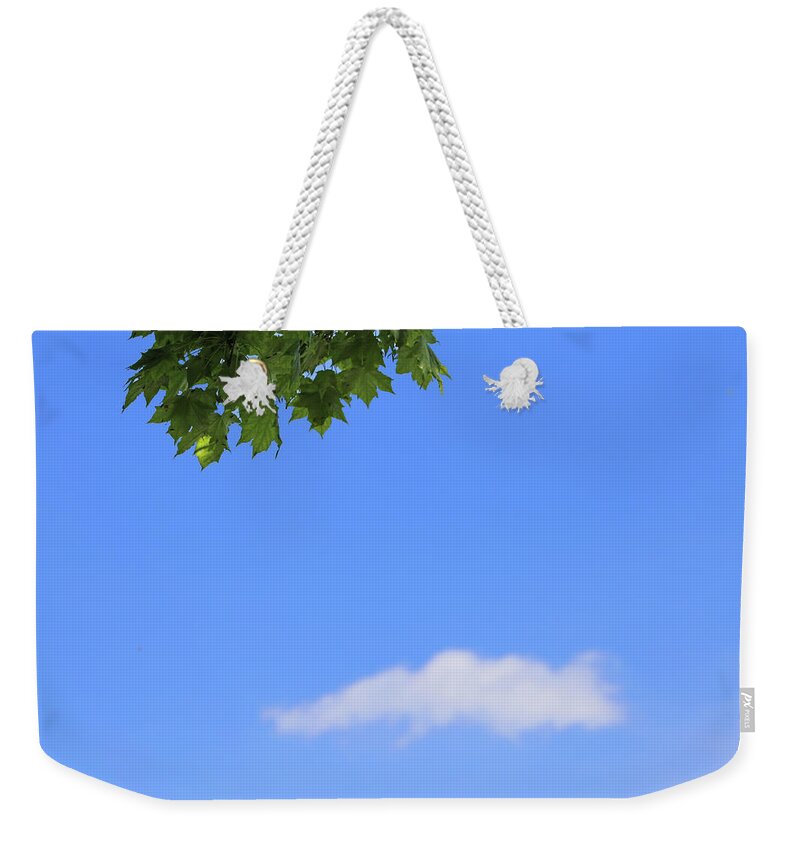 Leaves Weekender Tote Bag featuring the photograph A little bit of Zen by Mary Bedy