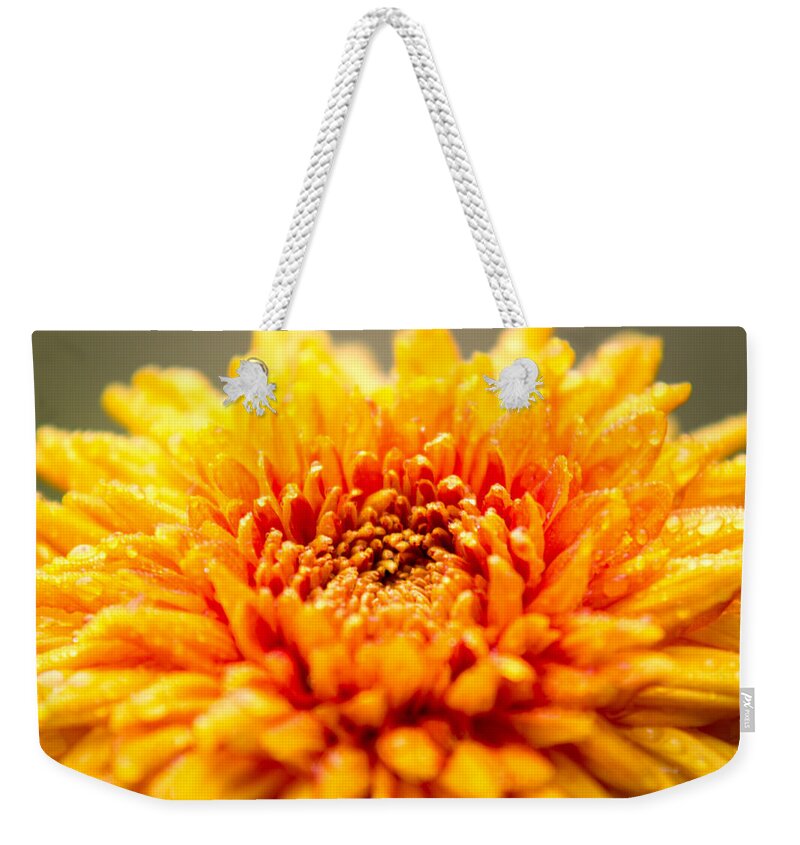 Duke Gardens Weekender Tote Bag featuring the photograph A little time to think things over by Wade Brooks