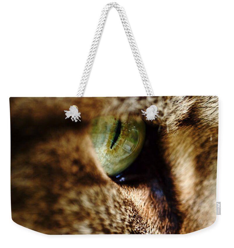 Macro Weekender Tote Bag featuring the photograph A Lookout by Rachel Morrison