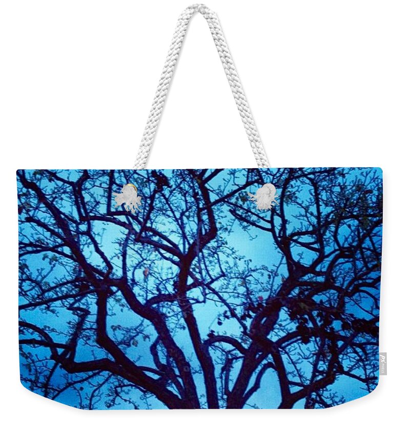 Tree Weekender Tote Bag featuring the photograph A Moody Broad by Denise Railey