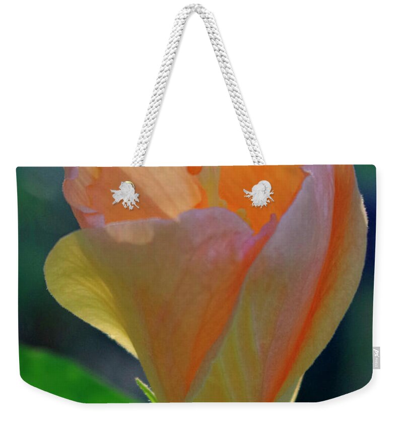 Nature Weekender Tote Bag featuring the photograph A new day. by Bess Carter
