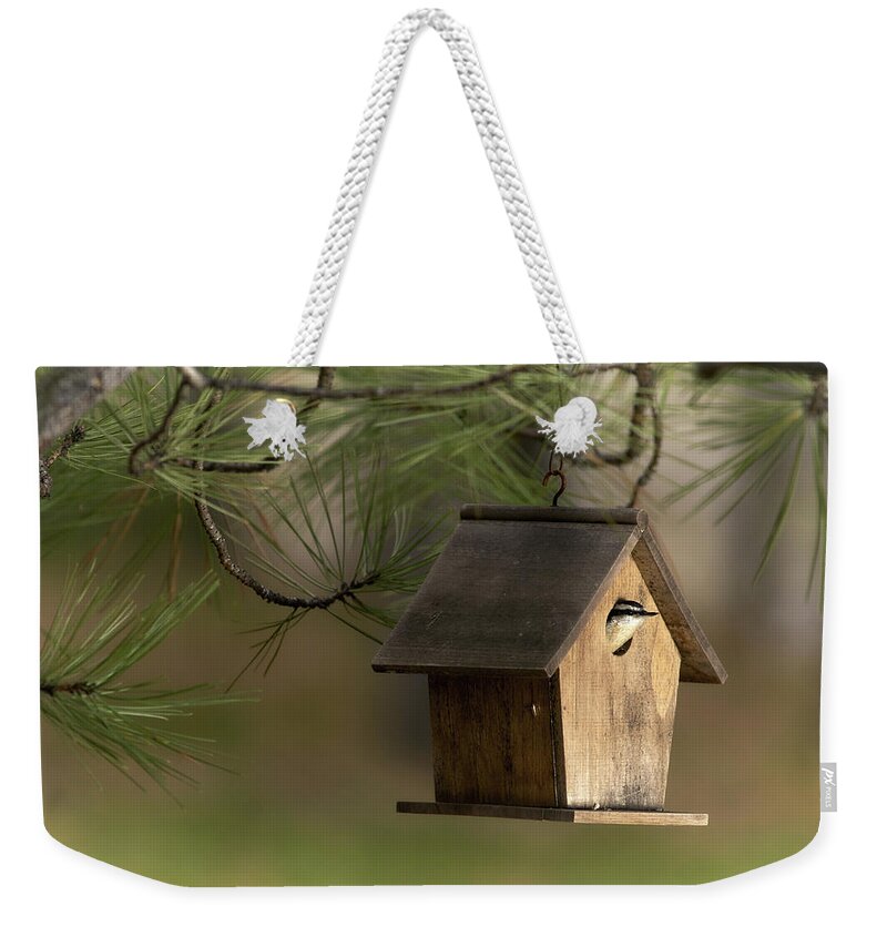 Bird Weekender Tote Bag featuring the photograph A New Occupant by Loni Collins
