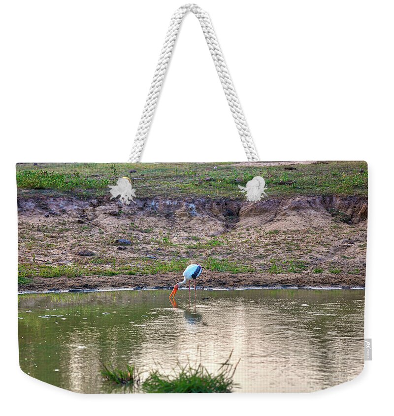 Adventure Weekender Tote Bag featuring the photograph a painted stork is fishing in a pond in the Yala Nationalpark by Gina Koch